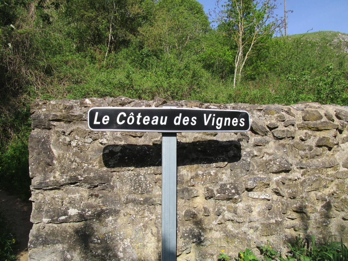 Gite Le Bourgneuf Fresnay-sur-Sarthe Buitenkant foto